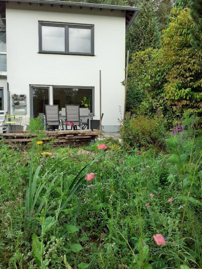 Moderne Familienfreundliche Wohnung Am Waldrand Von Pruem Mit Terrasse エクステリア 写真